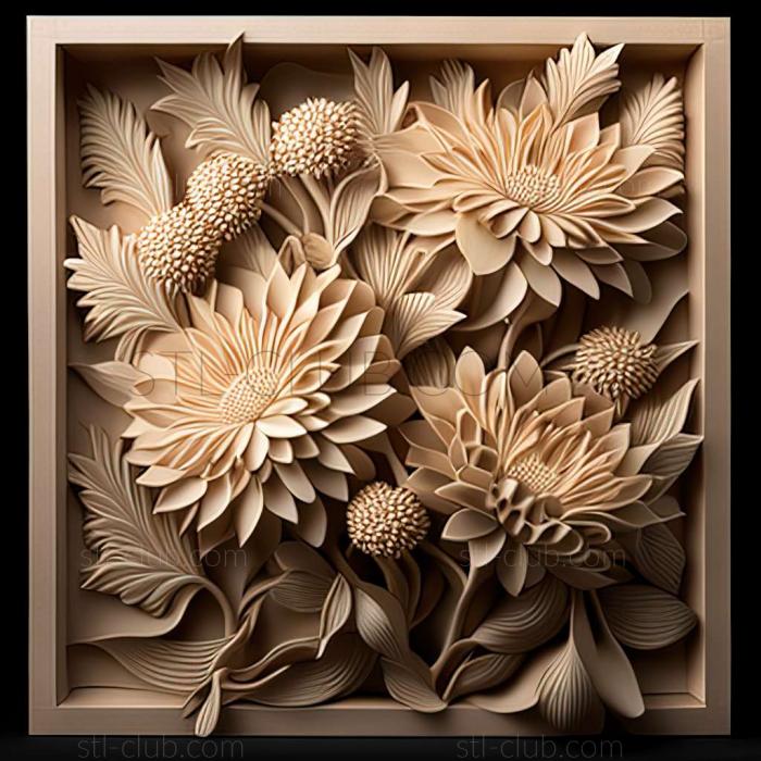 Dahlias